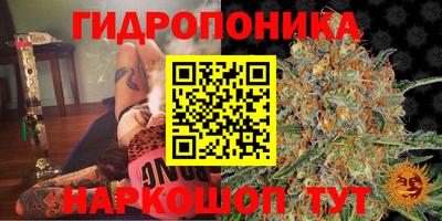 марихуана Ачхой-Мартан