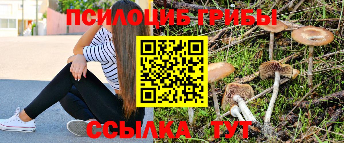 Канабис  Богданович  Меф МЯУ МЯУ кристаллы  ГАШИШ  Вход с VPN 