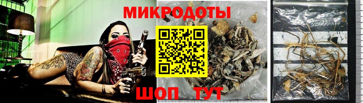 Галлюциногенные грибы GOLDEN TEACHER  наркошоп  Богданович  Вход с VPN 